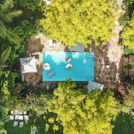 Last Word Constantia-2
